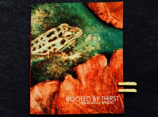 cover of Rooted By Thirst